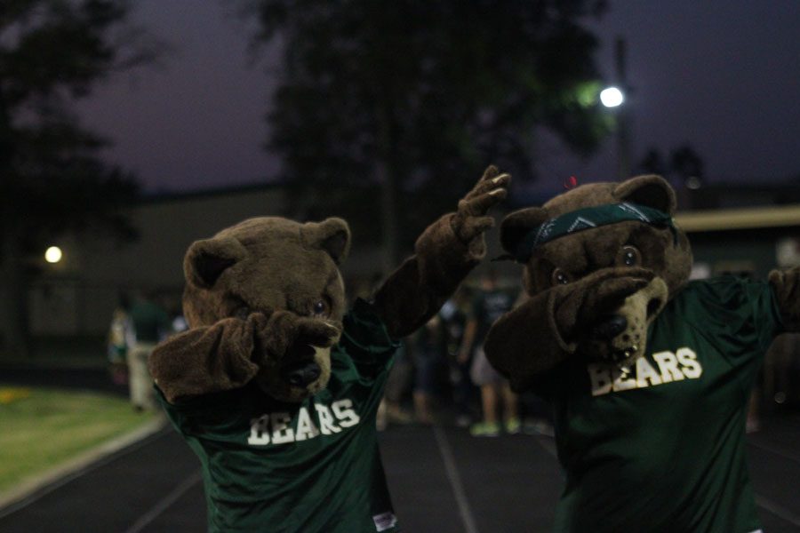 This is just a small amount of the fun that the LCM mascots bring to games. 