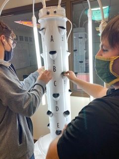 Students in Rochelle Briggs culinary class are excited about using their new tower garden. 
