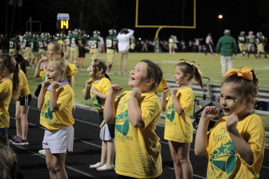 Last years cheer clinic attendees performed for the fans at a Battlin Bear Football game. 