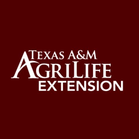 A Youth Food and Craft Project contest open to grades 3rd-12th will be hosted by Texas A&M AgriLife Extension. 