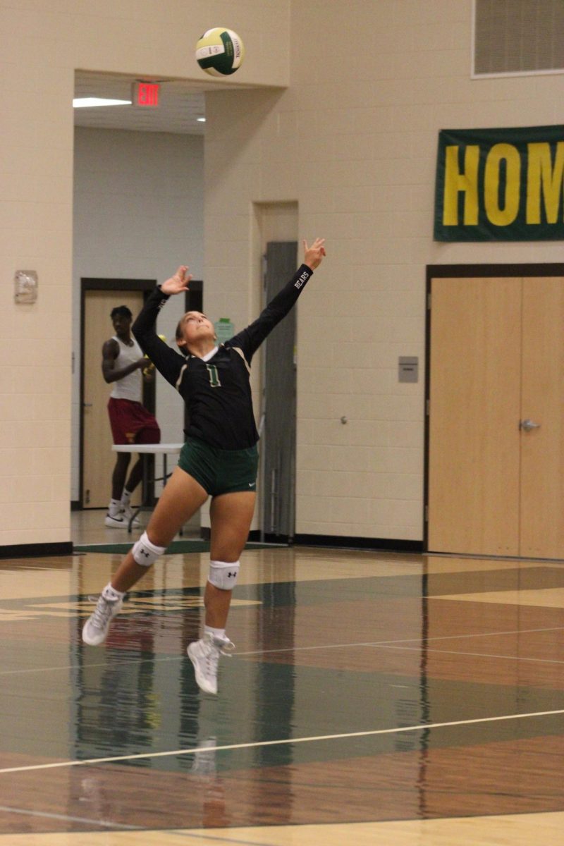Jada Montagne makes a hard serve to the Nederland Lady Bulldogs last Friday. 