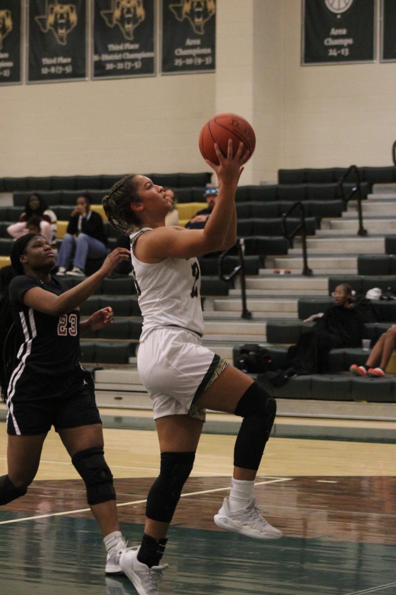 An inside look at Lady Bear Basketball